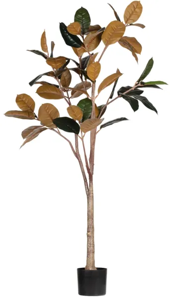 Rubber, Künstliche Pflanze, grün, H170x106x63 cm